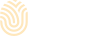 PaylioBiz